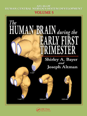 cover image of The Human Brain During the Early First Trimester